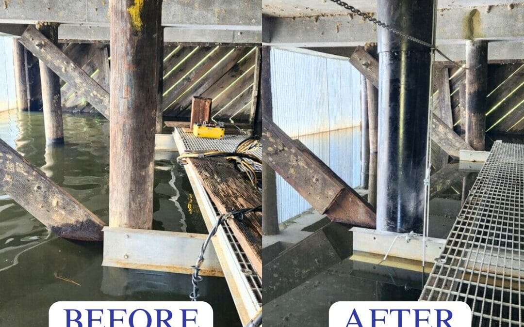 Before and After